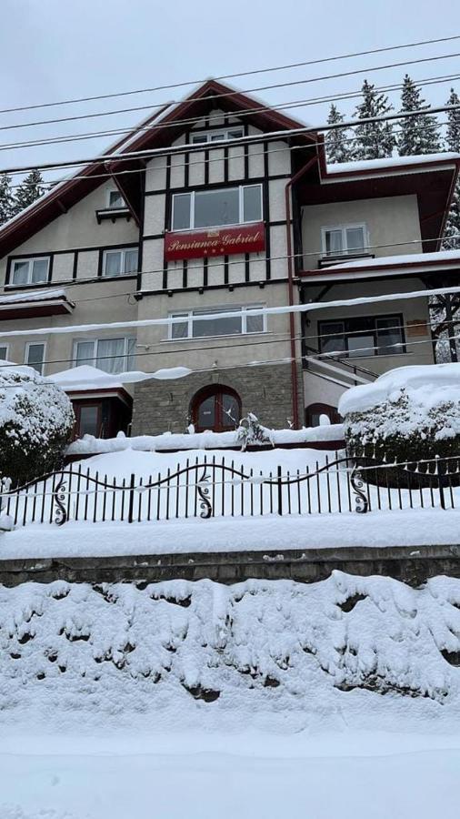 Hotel Vila Gabriel Sinaia Exterior foto