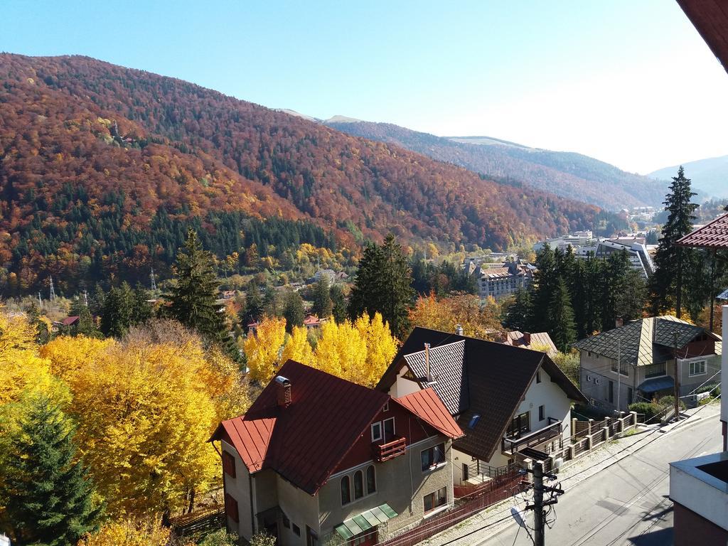 Hotel Vila Gabriel Sinaia Exterior foto