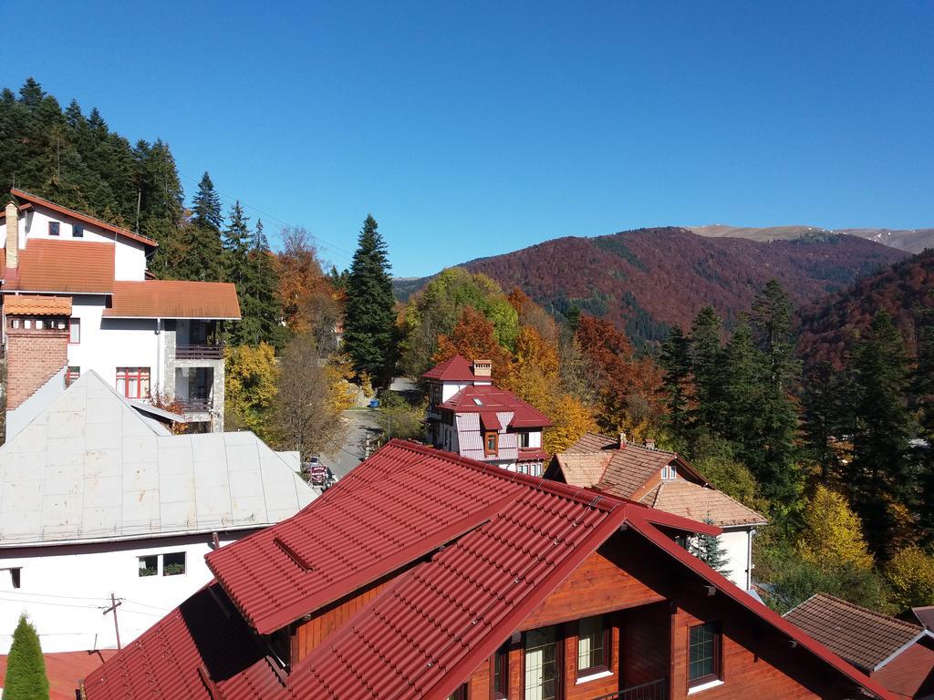 Hotel Vila Gabriel Sinaia Exterior foto